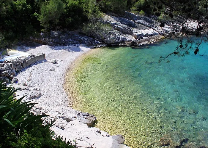 Apartman Apartments By The Sea Cove Zarace - Gdinj, Hvar - 8712 *