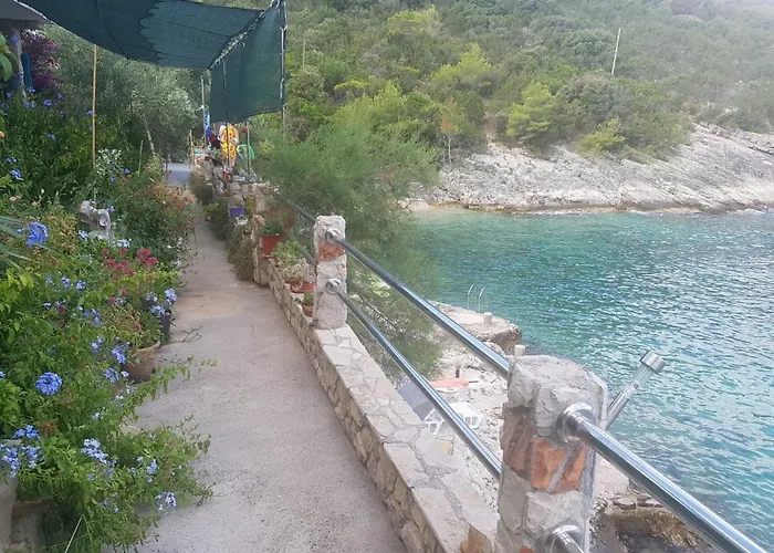 Apartman Apartments By The Sea Cove Zarace - Gdinj, Hvar - 8712 *